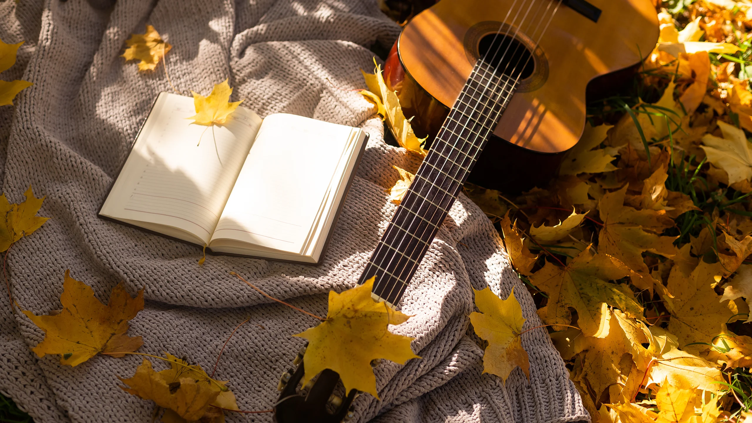 The Allure of Custom Audio